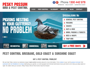 Pesky Possum Website